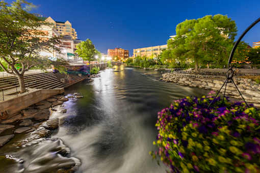 A river flows through a city at night with a hanging basket of flowers in the foreground.
