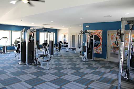 A gym with a variety of equipment including treadmills, weights, and a fan.