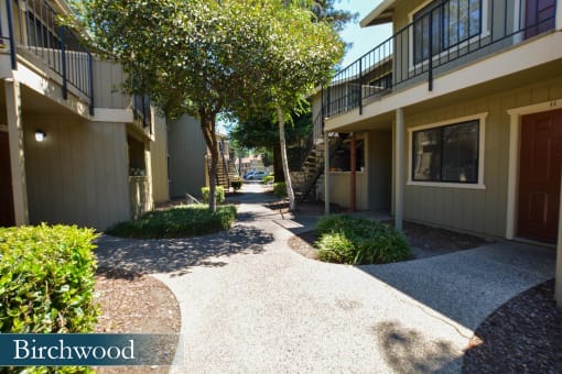 a walkway between two apartment buildings with trees and bushes