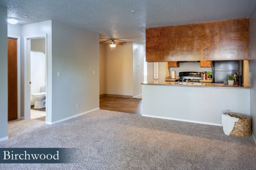 a living room with a kitchen and a carpeted floor