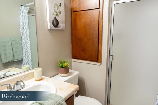 a bathroom with a sink and a toilet and a shower