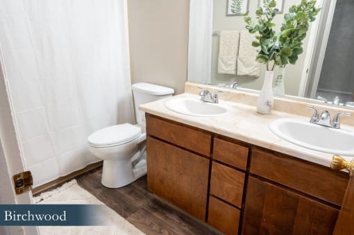 a bathroom with a toilet and a sink and a mirror