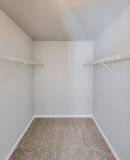 View of bedroom walk in closet with shelving and carpet flooring