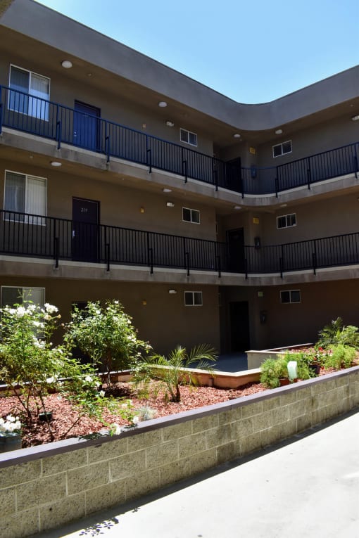 planter boxes in the courtyard