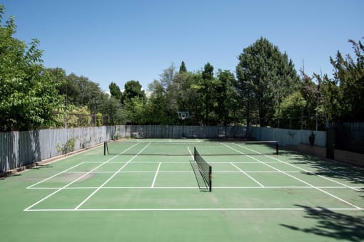 Double sports court at Driftwood Village