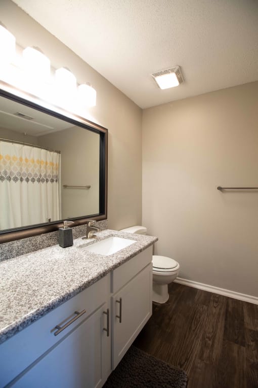 View of bathroom with large vanity, sink, large mirror, good lighting, and toilet