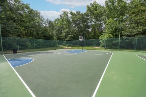 View of basketball court with woods in the background