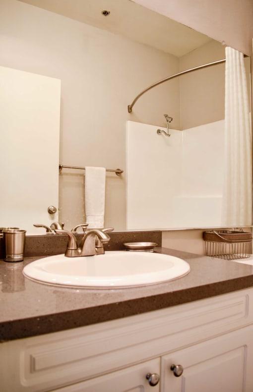 View of bathroom vanity with sink, mirror, and rub shower combo