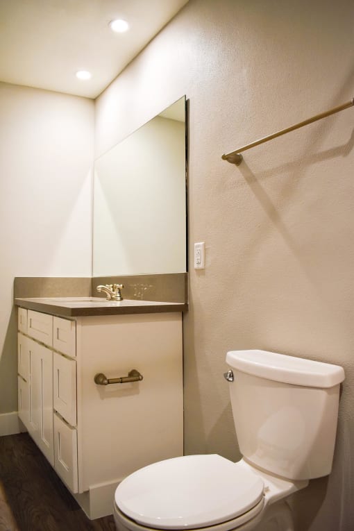 View of bathroom with large vanity counter, sink, mirror and toilet