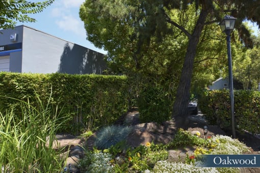 a garden with a tree and a street light