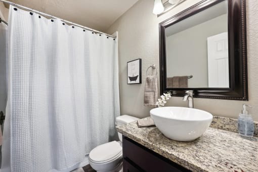 a bathroom with a sink and a toilet and a shower
