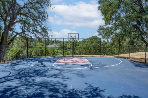 View of sport court - basketball