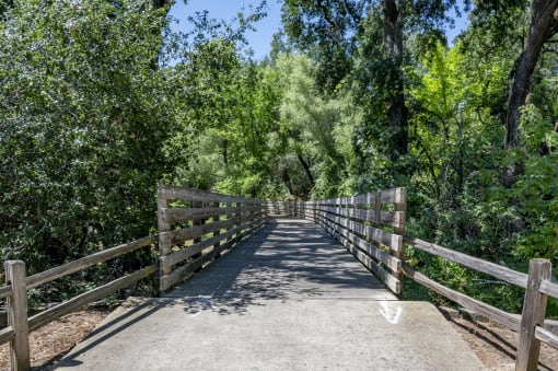 View of bridge over creek in wooded area on property