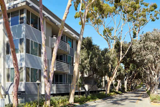 A tree-lined street with apartment buildings on either side.