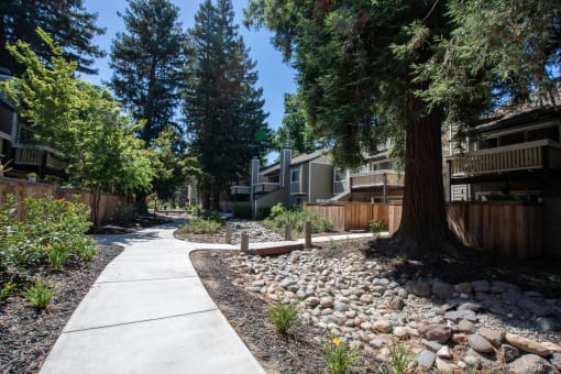 sidewalk between buildings with nice landscaping and natural rocks