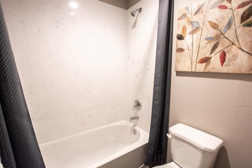 bathtub and toilet