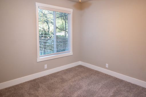 an empty room with carpet and a window