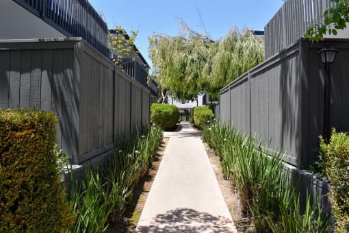 Landscaped view of sidewalk passing between private patios