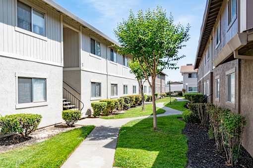 a pathway between two apartment buildings with grass and trees