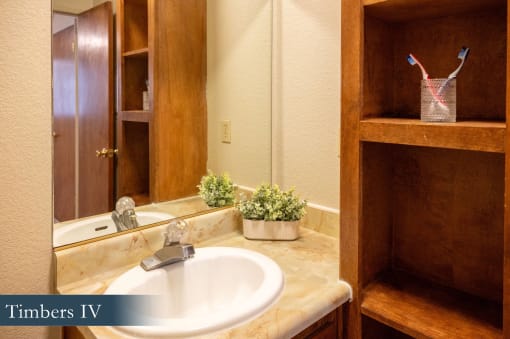 a bathroom with a sink and a mirror and a cabinet
