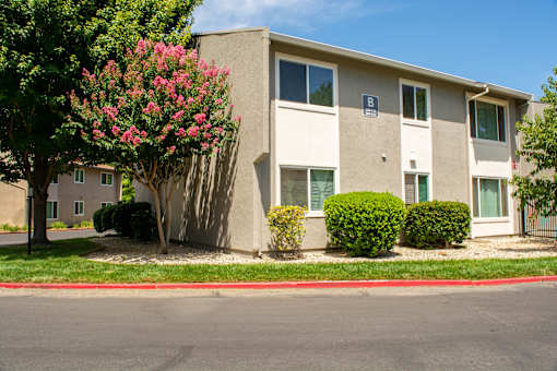 an apartment building with a flowering tree in front of it