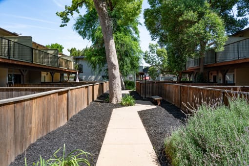 View of sidewalk winding between private patio/balcony with landscaping and shade trees