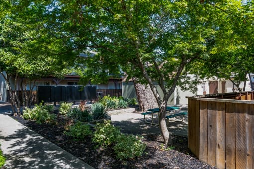 View of courtyard with picnic table, mail area, and nice landscaping and trees