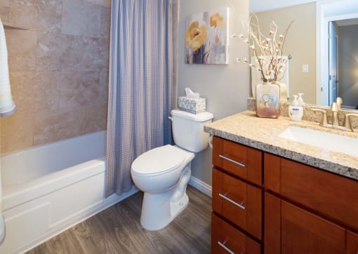 bathroom with large mirror and sink