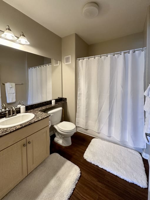 a bathroom with a shower and a sink and a toilet