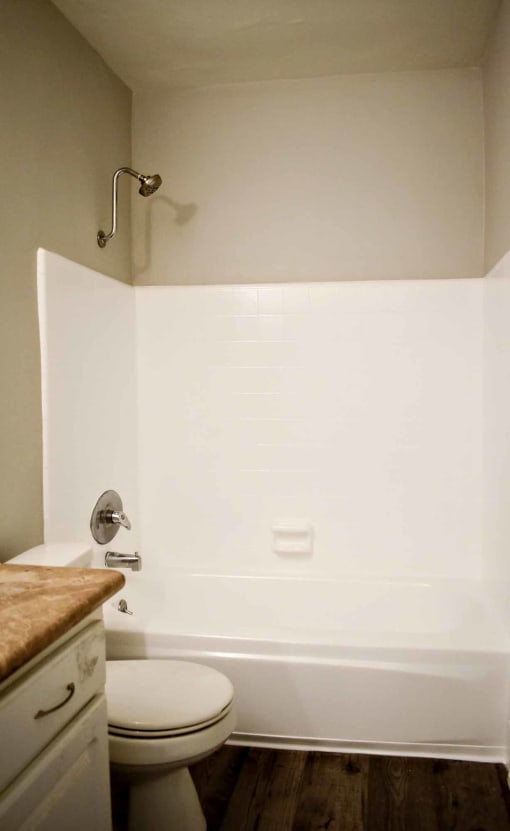 bathroom with a toilet and a tub