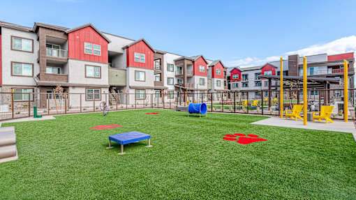 A playground area with a blue mat and red star on the grass in front of apartment buildings.