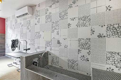 A bathroom with a tiled wall and a shower.