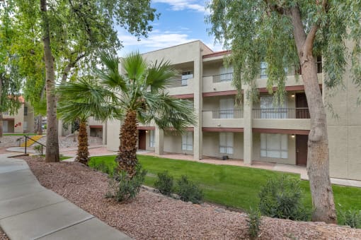 a building with a sidewalk and palm trees in front of itat Glen Brae, Glendale, AZ
