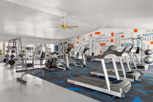 Cardio Machines at Denim Scottsdale, Scottsdale, AZ