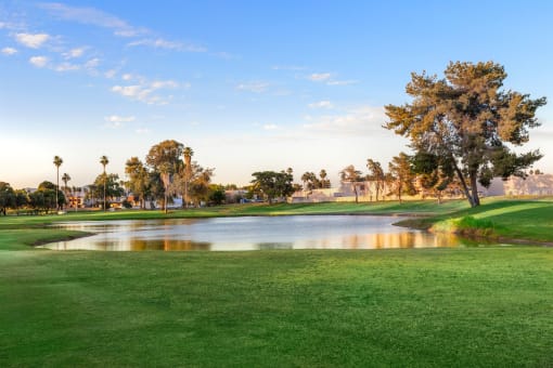 Pond View at Denim Scottsdale, Arizona