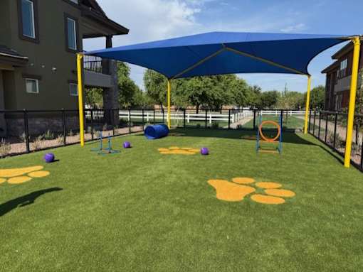 High-End Apartments In Gilbert, AZ - Everly - Pet-Park With Obstacles And Turf Grass