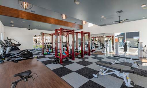 A gym with a variety of equipment including treadmills, stationary bikes, and weight machines.