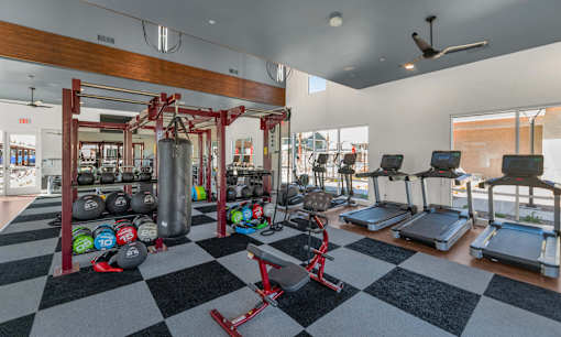 A gym with a variety of equipment including treadmills, weights, and a squat rack.