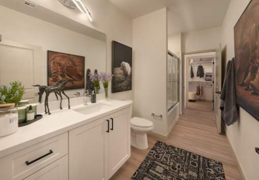 A bathroom with a sink, toilet, and a rug on the floor.