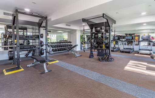 One-Bedroom Luxury Apartments in North Phoenix, AZ - The Amelia - Spacious And Well-Lit 24-Hour State-of-the-Art Fitness Center With Cardio Equipment.