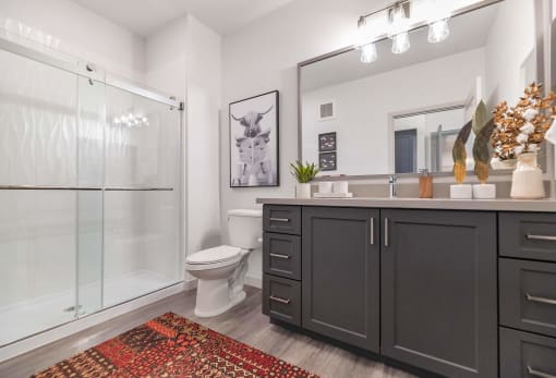 a bathroom with a shower and a toilet and a sink at Weylyn Luxury Apartments, Laveen, 85339