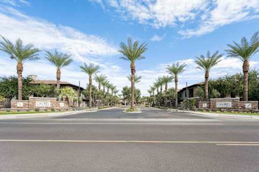 A street view of a residential area with palm trees and a sign that reads  at The Laurel Apartments, Chandler  