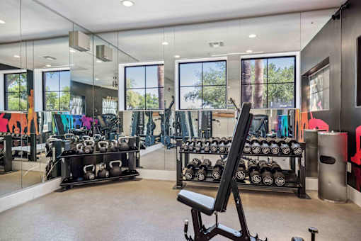 A gym with a variety of equipment including dumbbells and weight machines. at Lazo Apartment Homes, Chandler, AZ 85225  