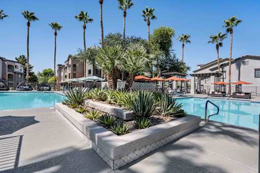 A pool surrounded by palm trees and plants. at Lazo Apartment Homes, Chandler, 85225  