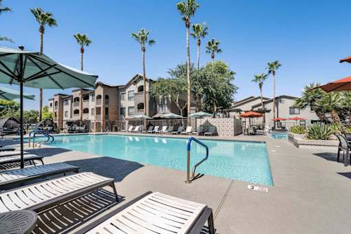 A pool surrounded by palm trees and sun loungers. at Lazo Apartment Homes, Chandler Arizona  