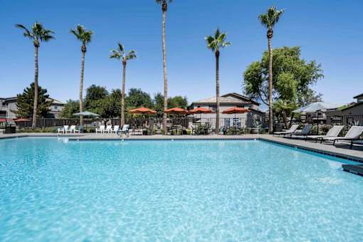 A large swimming pool surrounded by palm trees and lounge chairs. at Lazo Apartment Homes, Chandler, 85225  