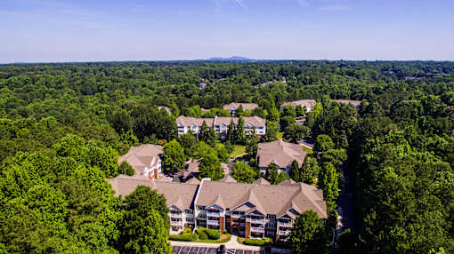 Apartment Rentals with Forest Setting in Smyrna