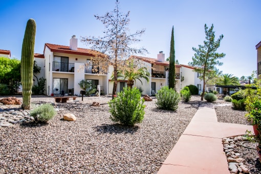 Non-Smoking Apartments on Orange Grove Tucson AZ 85741