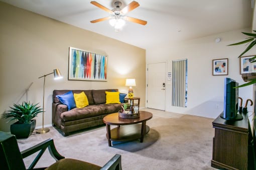 One, Two, and Three Bedroom Apartments near Tucson Medical Center with Spacious Living Room