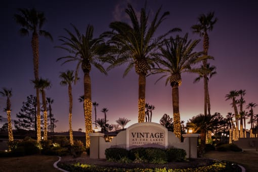 Sunset Palm Trees